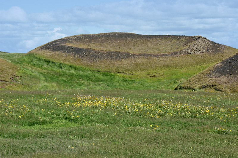 Pseudokrater Skutustadagigar